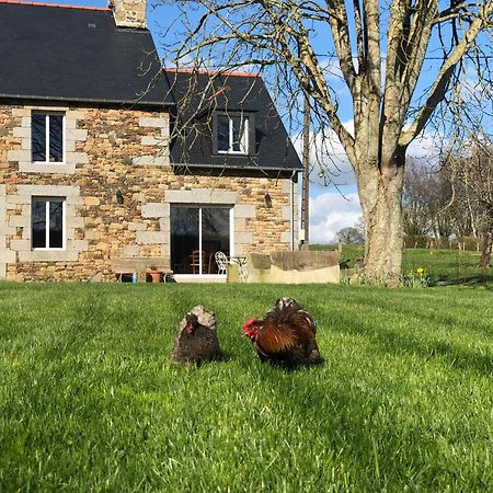 Maison Chic Proche Du Mont Saint Michel Marcilly  Dış mekan fotoğraf