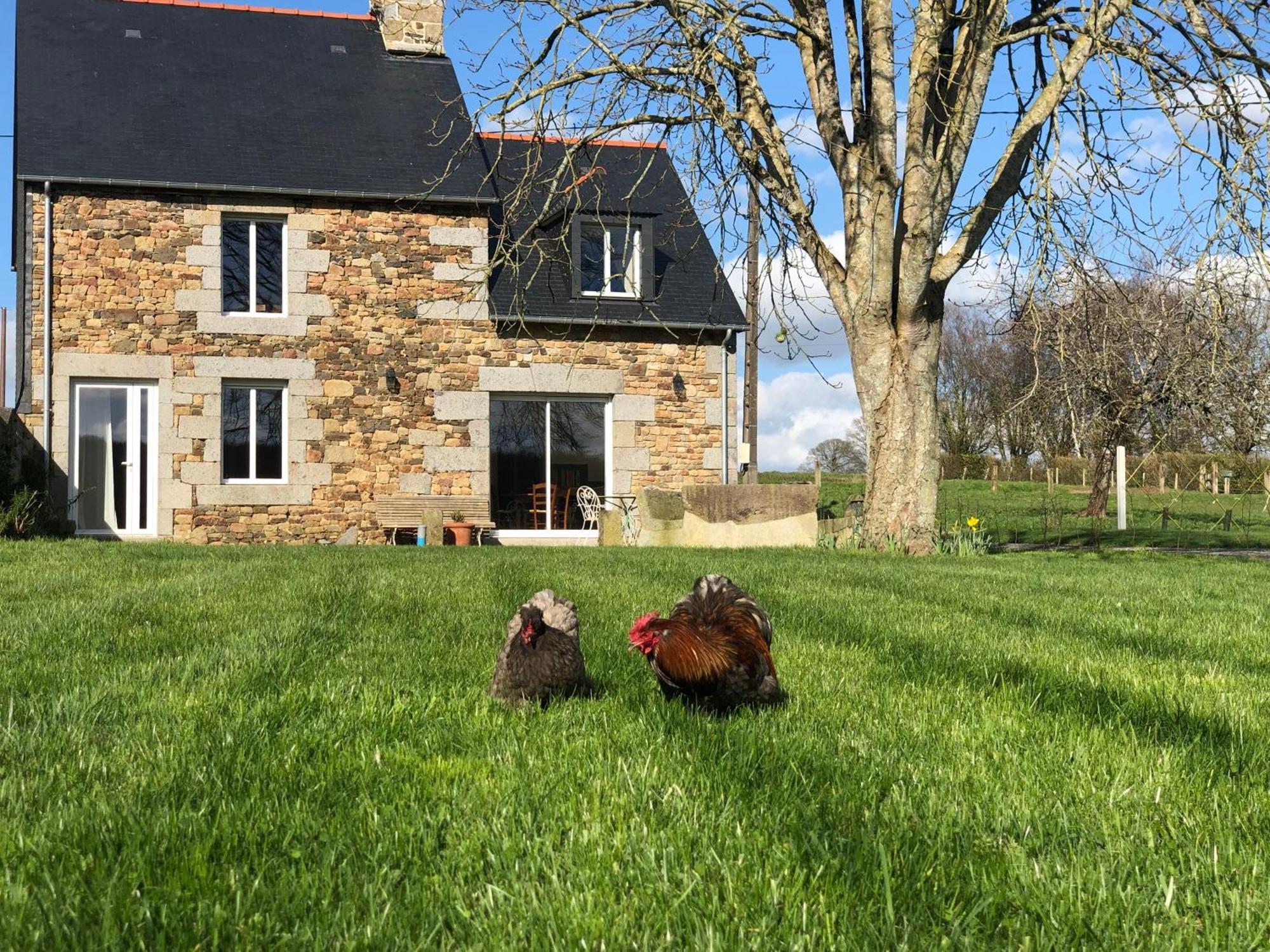 Maison Chic Proche Du Mont Saint Michel Marcilly  Dış mekan fotoğraf